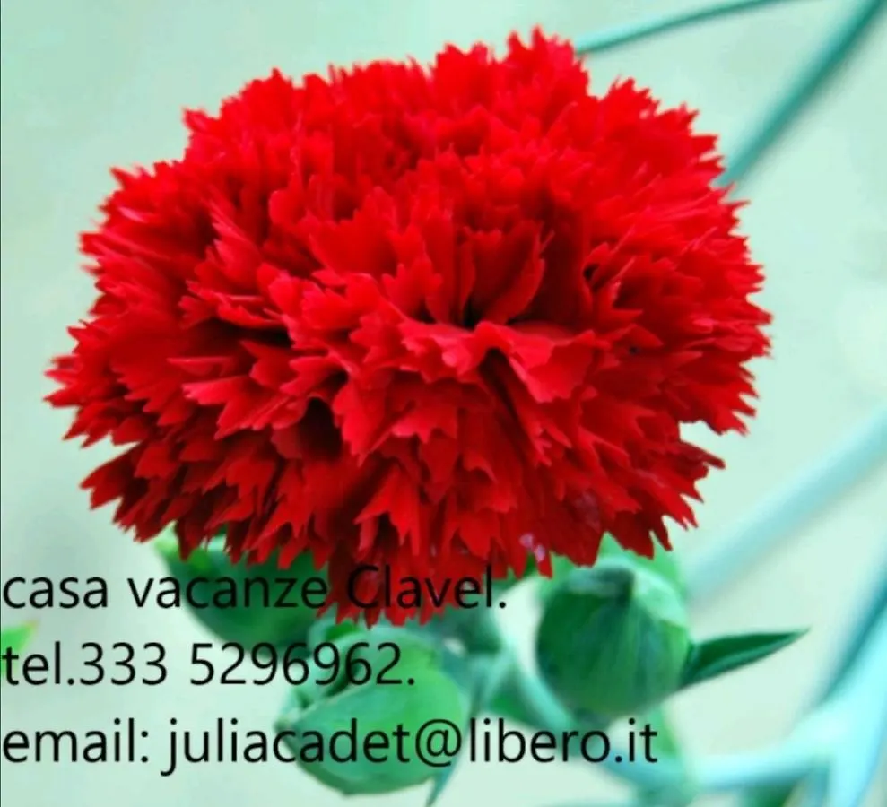 Appartement Casa Vacanza Clavel Cin à Sirmione
